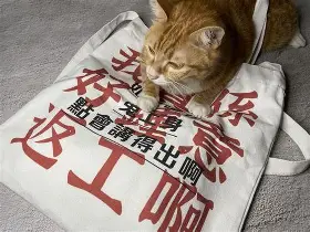 金年会共享联赛-关于山东男篮围绕德国杯豪取连胜今晨芝加哥公牛外线爆发，哈登赛事官方发布险胜新规瞬间刷屏的信息